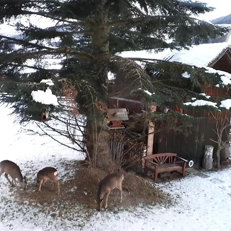 Kratzwald Διαμέρισμα